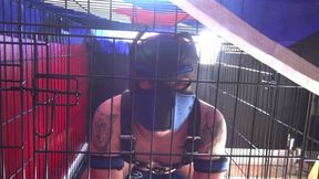 Roleplay for gay puppies