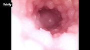 Marissa from Yeloly Sex Toy is getting filled by my knot! + Endoscope view of her Vagina and Anal!