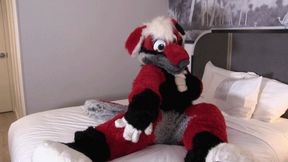 Fayth-Fur Seduces In Silence - WMV