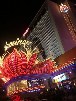 PORNLIFESTYLE - MY USA TRIP - PART ONE - LAS VEGAS