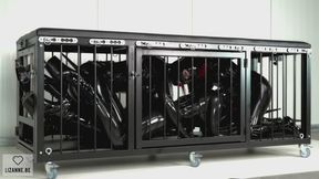 The rubber doll cage