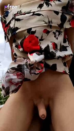 trans fucked outside