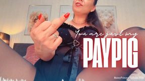 You are just my Paypig