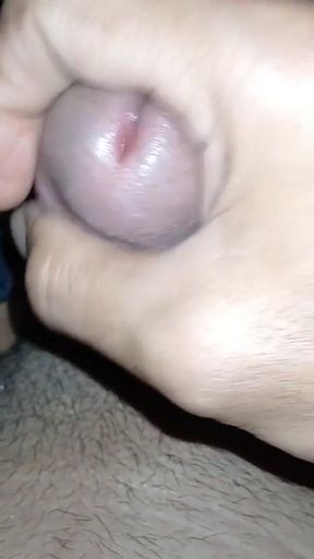 Shake Employees Tofu Round