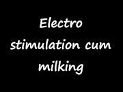 Electro stimulation cum milking