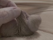 My tiny micro penis has been bad