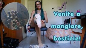 Venite a mangiare bestiole!