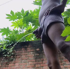 Desi boy six videos
