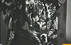 Softcore Nudes 635 1960's - Scene 2