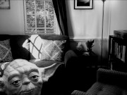 Interviewing Yoda About Being Captured In Vietnam (ASMR)