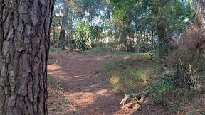 Deep in the woods she strips off — intense heat — massive ass🍑 and tiny tits like a nympho