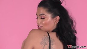 Domino presley's asspussy drilled hard