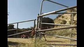 Hard Love for a Wild Princess