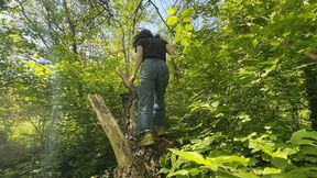 stuck between the branches