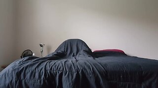 44.mp4
