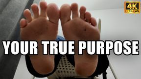 Feet, Your True Purpose - 4k UHD 2160p - KingMarti - MOV