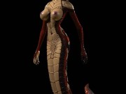 Sha'an Walk Cycle (Model V1)