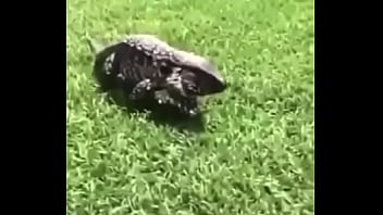 Entrez le titre d&eacute_taill&eacute_ incluant les noms de mod&egrave_les pour plus de vues