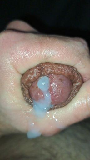 Great Slow-motion Run