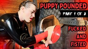 Puppy Pounded - Part 1 of 2 - Strapon Fucked and Fisted by Vivienne l'Amour (720P)