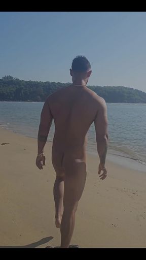 Fun in the Sea