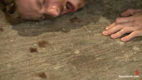 The Official Greeting of the Dom of the House