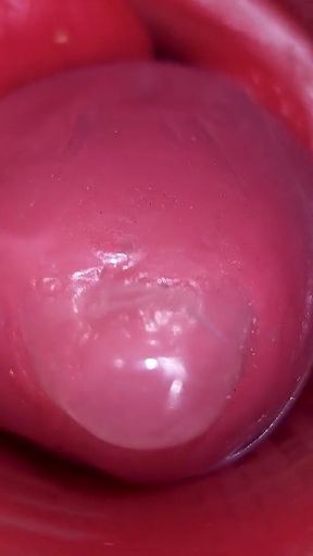 Inside a Camgirl Cervix POV Camera in Vagina with Big Dick Toy