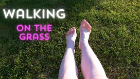 Walking with my feet on the grass and showing them to you up