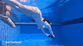 Lilibet Saunders - Subnado Episode 10 - Pool Centipede (720p)