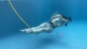 006-Portia's Water Play: Lew and Portia Play Fetch 720p
