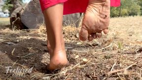 Follow my bare feet as they get dirtier with each step (Full HD 1080p MP4)