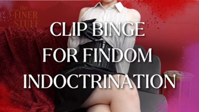 Clip Binge For Findom Indoctrination