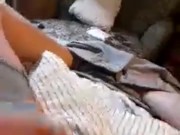 Bouncing cock