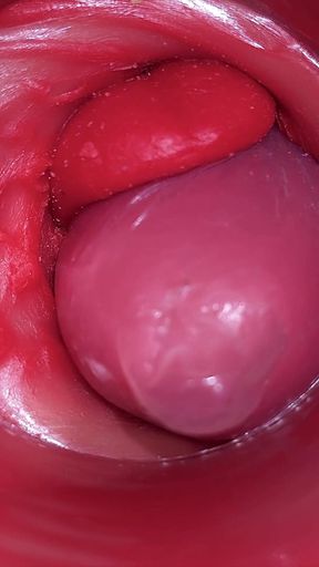 Inside a Camgirl Cervix POV Camera in Vagina with Big Dick Toy