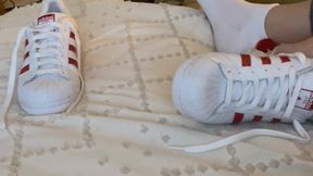 Adidas Superstar Shoejob Sneaker Fetish