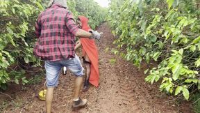 The Big Bad Wolf Meets Little Red Riding Hood in the Forest and Devours Her. Naughty Little Red Riding Hood, What a Great Meal!