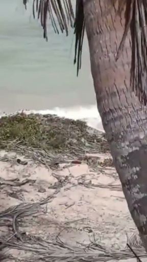 PARQUE DE NUDISMO SEXO LESBICO ENCIMA DE PE DI COCO   Clip 2