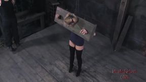 Rain Degre In In Stock