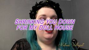 Shrinking You Down for My Doll House (wmv)