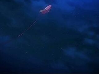 Reguetton HMV mother I'd like to fuck