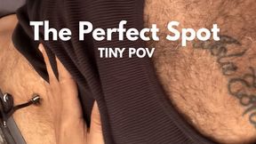 The Perfect Spot (Tiny POV)