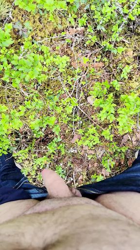 Horny in Forest