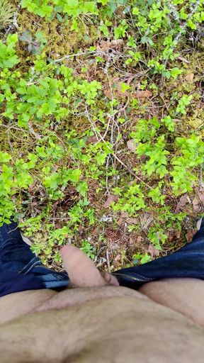 Horny in Forest