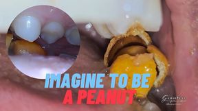 Imagine to be a peanut111