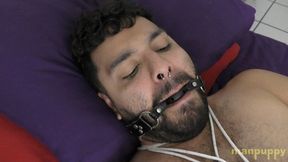 Cub Struggling in Bondage - Demetri Silver - Manpuppy - MP4 1080