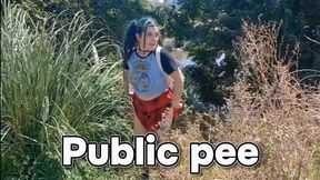 Public pee