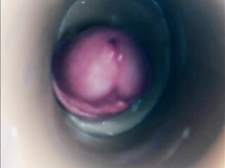 Inward camera bang in snatch large palpitating ejaculation