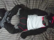 Sexy Fursuit Stripping