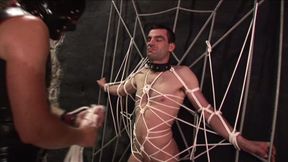 Spermaspiele