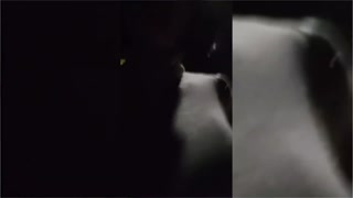 Compilation of a sissy slut's ass and getting fucked